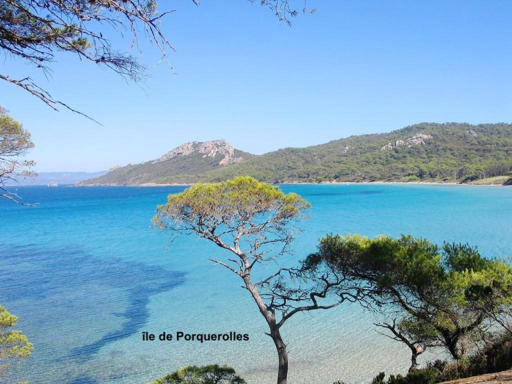Rez-De-Villa Proche De La Mer - Villa Temana Saint-Cyr-sur-Mer Zewnętrze zdjęcie